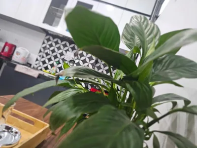 Lakenest Realty 9 Ba Đình, Hà Nội – Fotos 9
